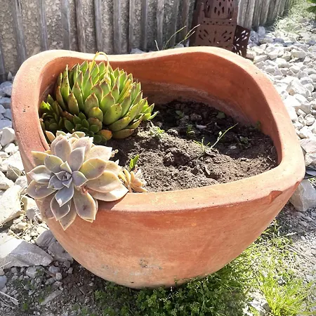 Nocleg ze śniadaniem Le Mazet D'hotes 4*