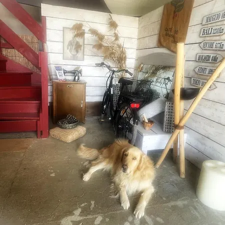 Nocleg ze śniadaniem Le Mazet D'hotes