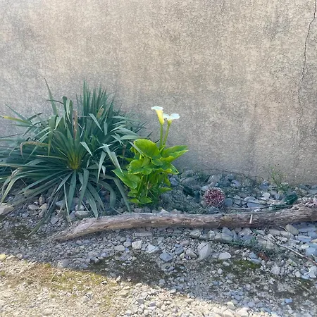 Le Mazet D'hôtes *